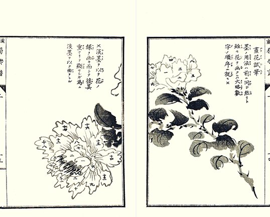 photo5.jpg
