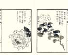 photo5_small.jpg