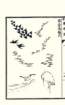 photo7_small.jpg