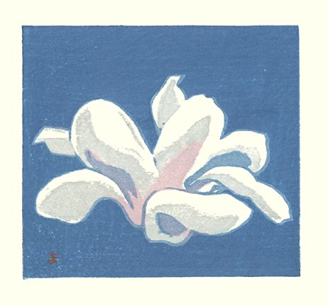 photo10.jpg
