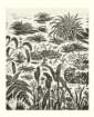 photo12_small.jpg