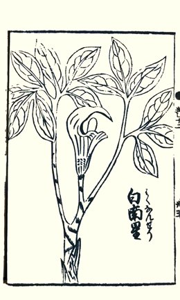 photo31.jpg