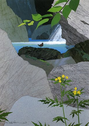 photo.jpg