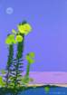 photo12_small.jpg
