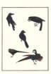 photo15_small.jpg
