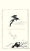 photo12_small.jpg