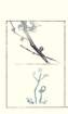 photo14_small.jpg