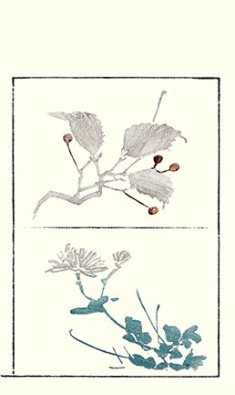 photo15.jpg