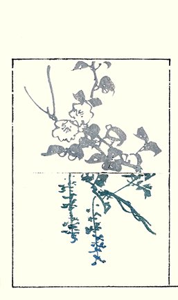 photo16.jpg