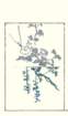 photo16_small.jpg