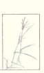 photo21_small.jpg