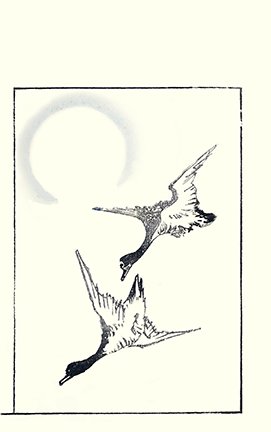 photo25.jpg