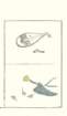 photo4_small.jpg
