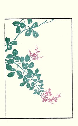 photo67.jpg