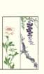 photo75_small.jpg