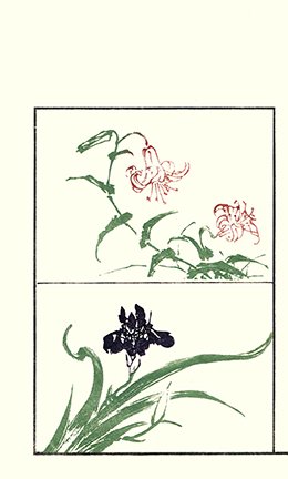 photo81.jpg