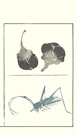 photo9.jpg