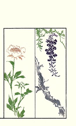 photo.jpg