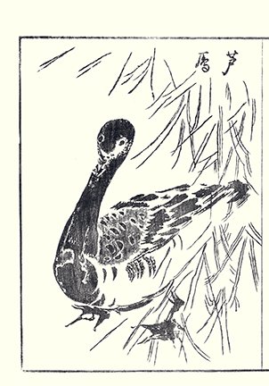 photo17.jpg