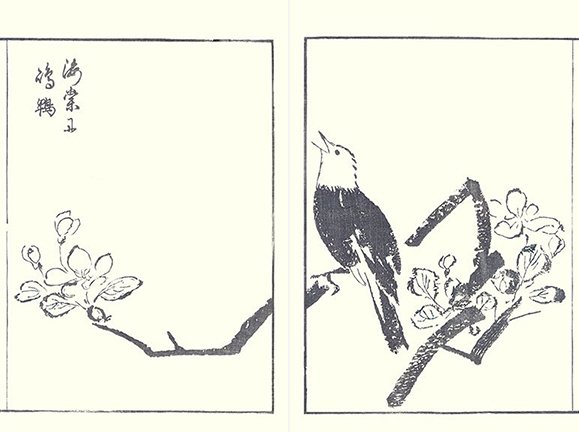 photo22.jpg