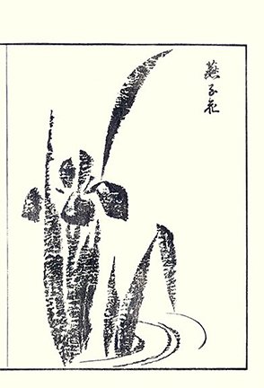 photo24.jpg
