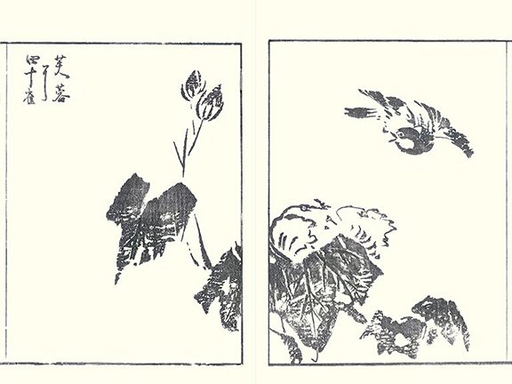photo27.jpg