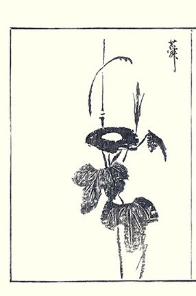photo28.jpg