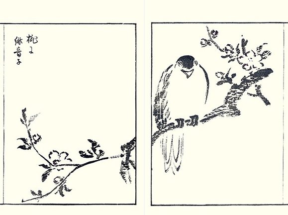 photo31.jpg