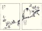 photo31_small.jpg