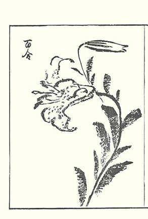 photo34.jpg
