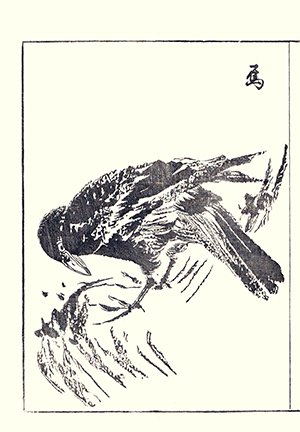 photo9.jpg