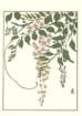 photo22_small.jpg