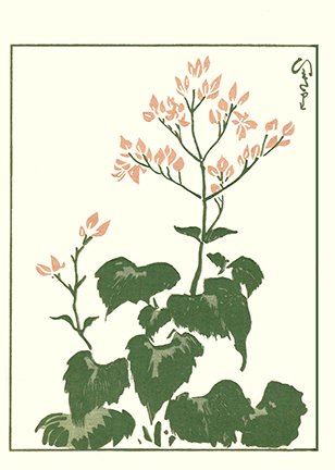 photo48.jpg