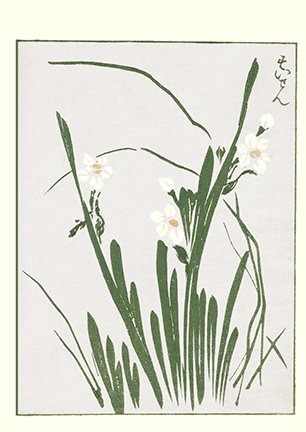 photo51.jpg