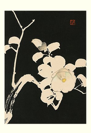 photo2.jpg