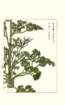 photo100_small.jpg