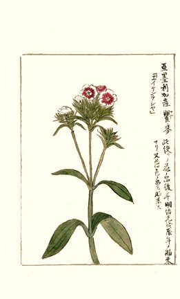 photo104.jpg