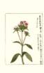 photo104_small.jpg