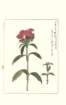 photo105_small.jpg