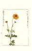 photo108_small.jpg