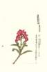 photo128_small.jpg