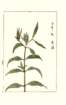 photo13_small.jpg