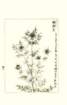 photo176_small.jpg