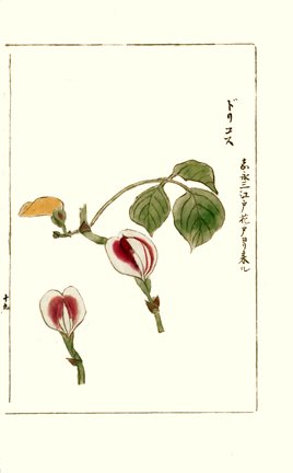photo20.jpg