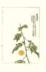 photo23_small.jpg