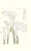 photo28_small.jpg