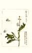 photo45_small.jpg