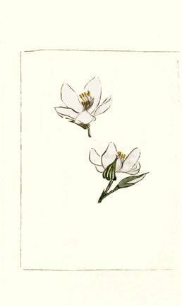 photo48.jpg