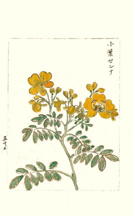 photo55.jpg