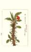 photo72_small.jpg